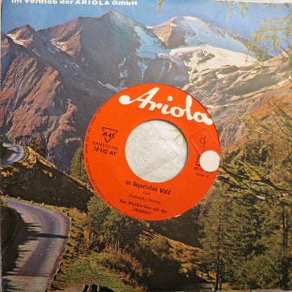 The Chiemgauer Jodler Duo 40045