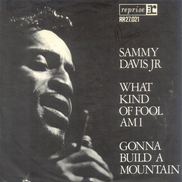 Sammy Davis Jr. - What Kind Of Fool Am I 41688 Vinyl Singles Vinyl Goed / Hoes Goed