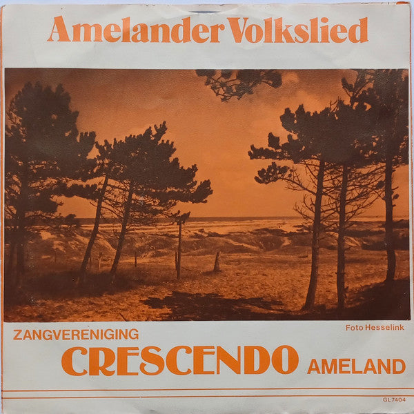 Gemengde Zangvereniging Crescendo - Ameland's Volkslied 40661 Vinyl Singles Vinyl Goed / Hoes Goed