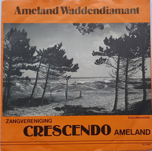 Gemengde Zangvereniging Crescendo - Ameland's Volkslied 40661 Vinyl Singles Vinyl Goed / Hoes Goed