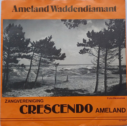 Gemengde Zangvereniging Crescendo - Ameland's Volkslied 40661 Vinyl Singles Vinyl Goed / Hoes Goed