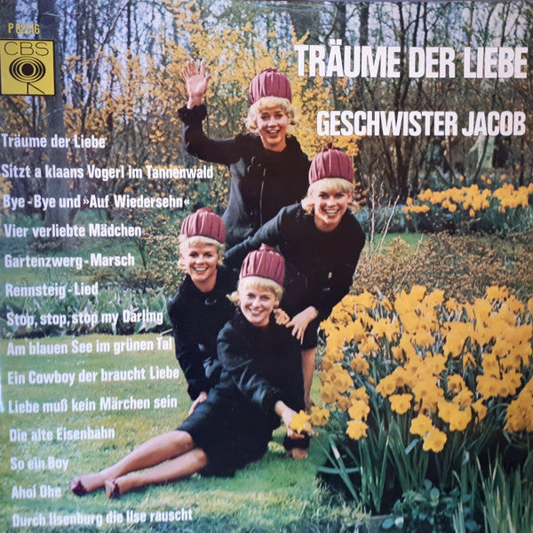 Geschwister Jacob - Träume Der Liebe (LP) 52287 Vinyl LP Vinyl Goed / Hoes Goed