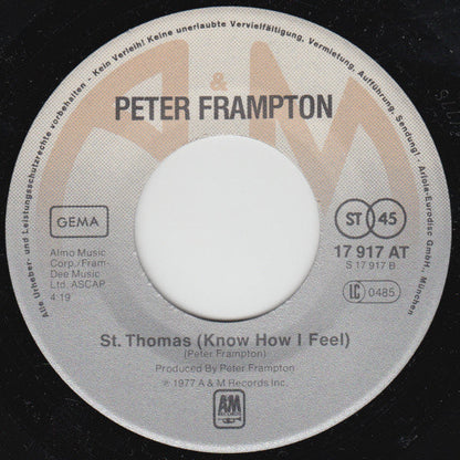 Peter Frampton - I'm In You 31259