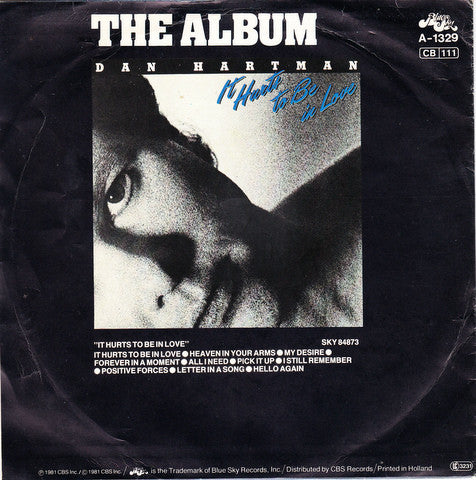 Dan Hartman - It Hurts To Be In Love 38814 Vinyl Singles Vinyl Goed / Hoes Goed