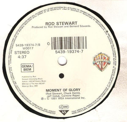 Rod Stewart - Rhythm Of My Heart 25759
