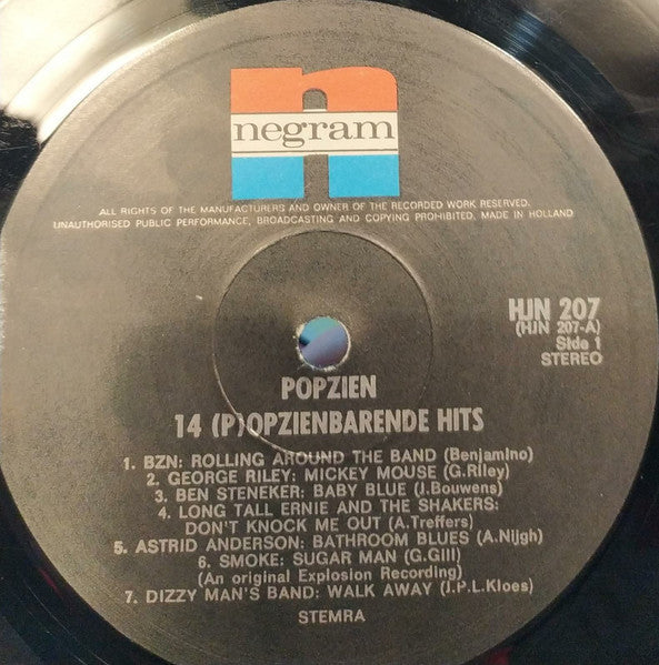 Various - Popzien - 14 (P)opzienbarende Hits (LP) 48313 Vinyl LP JUKEBOXSINGLES.NL   