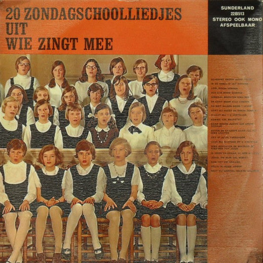Verschiedene - 20 Sonntagsschullieder von Who Sings Along (LP) 46978