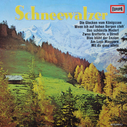 Alfons Zitz , Die Zürisee Musikanten - Schneewalzer (LP) 42532 Vinyl LP JUKEBOXSINGLES.NL   