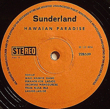 Hawaian Minstrels - Hawaian Paradise (LP) Vinyl LP Vinyl Zeer Goed / Hoes Goed "VINYLSINGLES.NL"