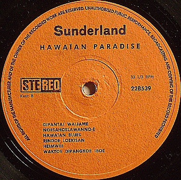 Hawaian Minstrels - Hawaian Paradise (LP) Vinyl LP Vinyl Zeer Goed / Hoes Goed "VINYLSINGLES.NL"