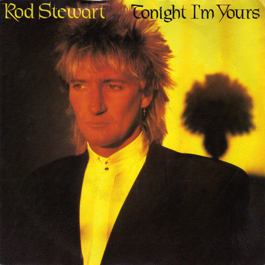 Rod Stewart - Tonight I'm Yours 19001