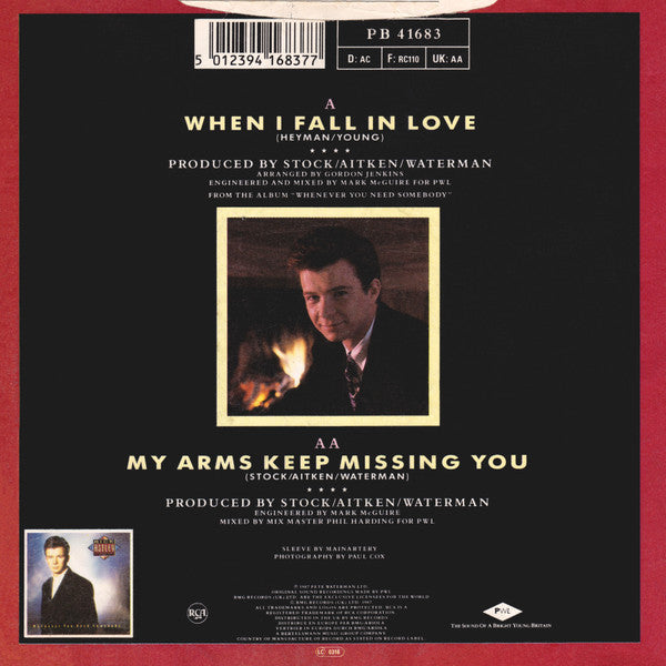 Rick Astley - When I Fall In Love Vinyl Singles Vinyl Goed / Hoes Goed