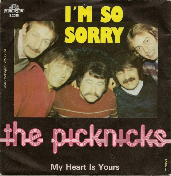 Picknicks - Es tut mir so leid 19801
