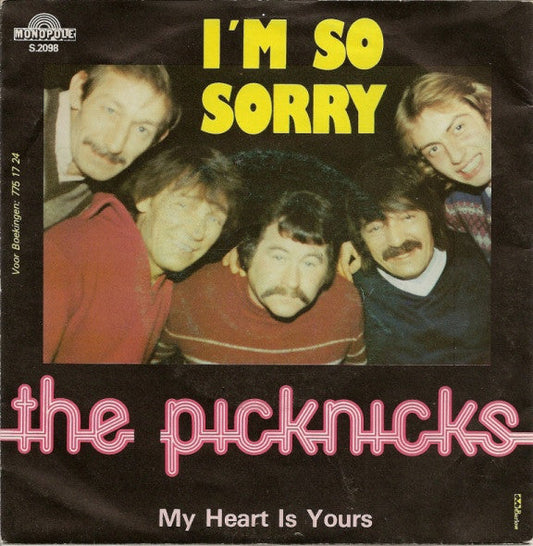 Picknicks - Es tut mir so leid 19801