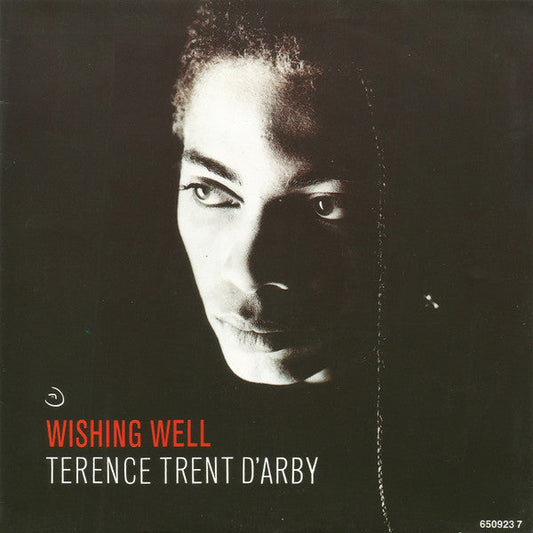 Terence Trent D'Arby - Wunschbrunnen 37405