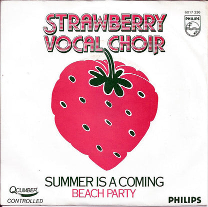Strawberry Vocal Choir - Der Sommer kommt 25771