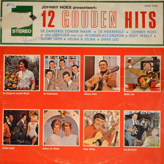Various - Johnny Hoes präsentiert: 12 Golden Hits (LP) 42706 (B)