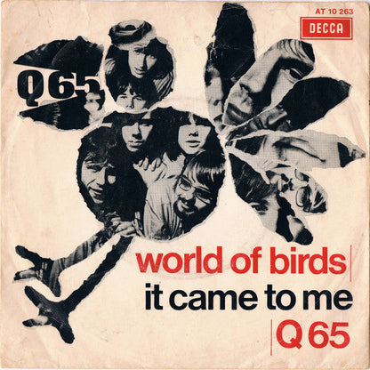 Q65 - World Of Birds 05449 Vinyl Singles Vinyl Goed / Hoes Tekst