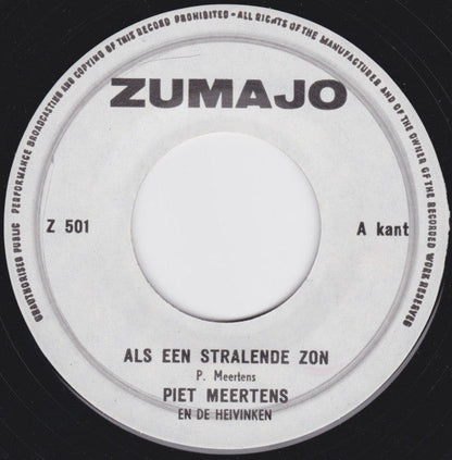 Piet Meertens und die Heivinken – Wie eine strahlende Sonne 28210