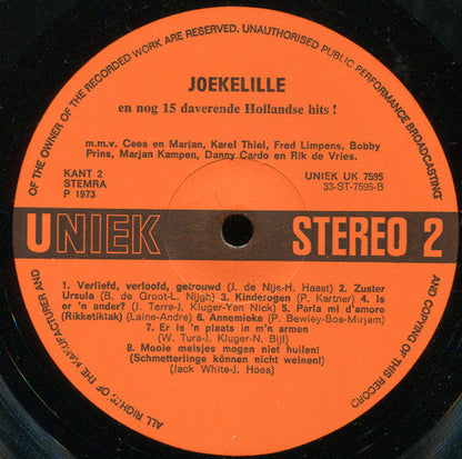 Various - Joekelille En Nog 15 Daverende Hollandse Hits (LP) 48840 Vinyl LP JUKEBOXSINGLES.NL   