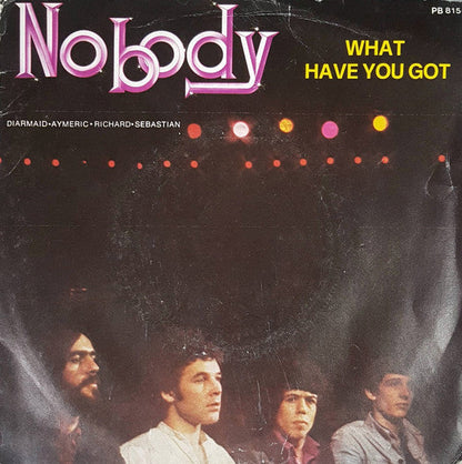Nobody - What Have You Got 21544 Vinyl Singles Vinyl Goed / Hoes Goed