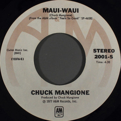 Chuck Mangione – Feels So Good 39140