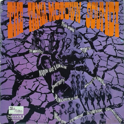 Various - The Tamla-Motown Sound! (LP) 51772 Vinyl LP Vinyl Goed / Hoes Goed