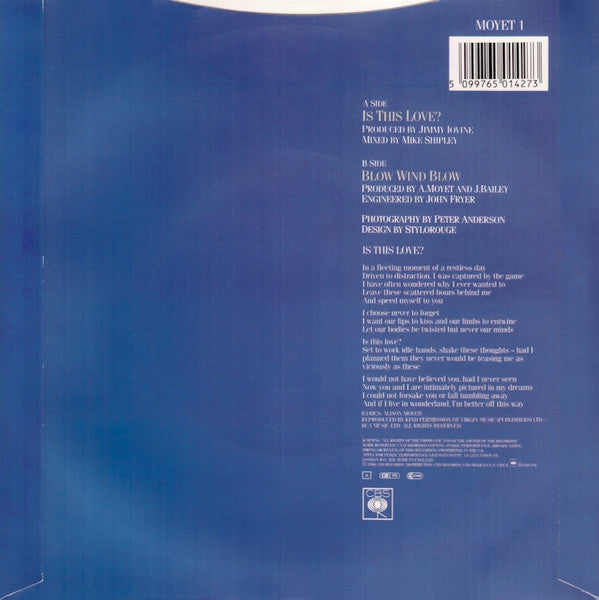 Alison Moyet - Is This Love? 38379