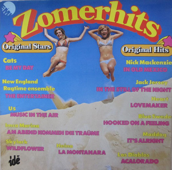 Various - Zomerhits (LP) 43738 Vinyl LP JUKEBOXSINGLES.NL   