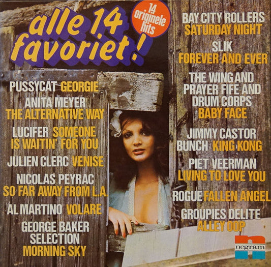 Verschiedene – Alle 14 Favoriten! (LP) 49101