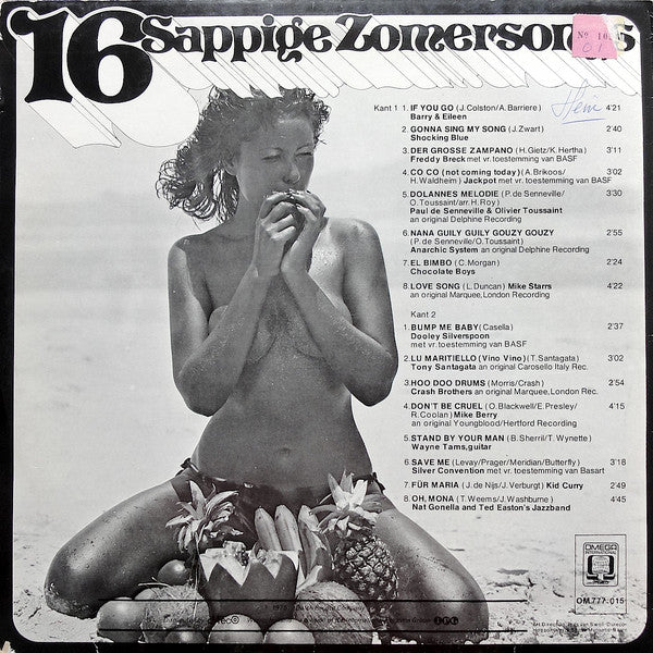 Various - 16 Sappige Zomersongs (LP) 40205 Vinyl LP JUKEBOXSINGLES.NL   