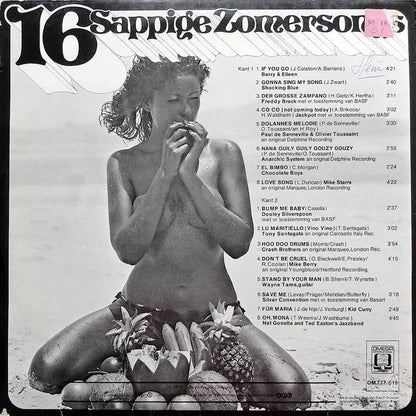 Verschiedene - 16 saftige Sommerlieder (LP) 48240