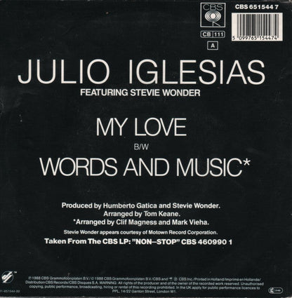Julio Iglesias mit Stevie Wonder – My Love 34191