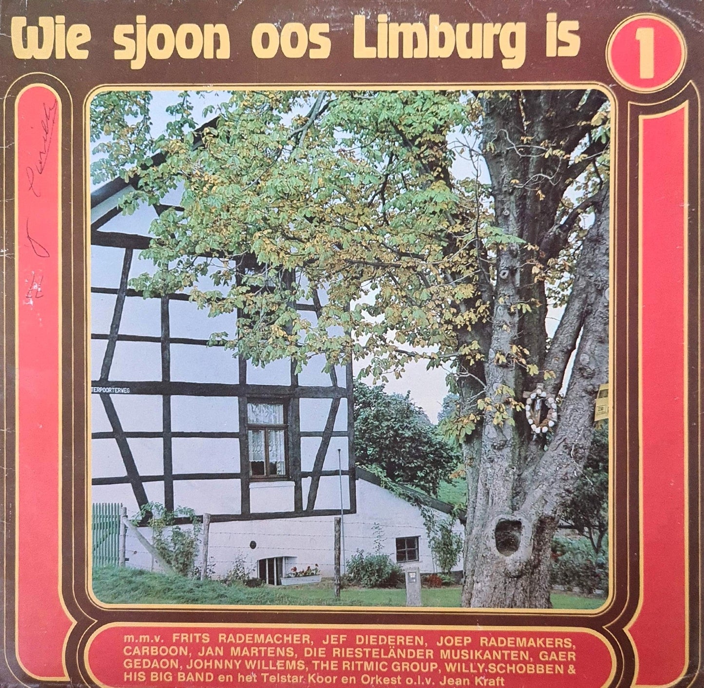 Various - Wie sjoon oos Limburg is 1 (LP) 46791 Vinyl LP JUKEBOXSINGLES.NL   