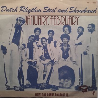 Dutch Rhythm Steel & Showband - January, February Vinyl Singles Vinyl Zeer Goed / Hoesje Goed "VINYLSINGLES.NL"
