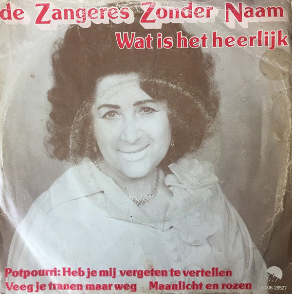 Sänger ohne Namen - Was für ein wundervoller 31108