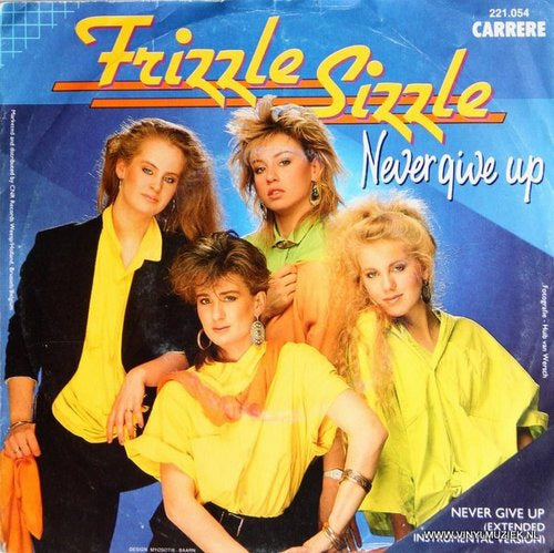Frizzle Sizzle - Never Give Up 22159 Vinyl Singles Vinyl Zeer Goed / Hoesje Goed "VINYLSINGLES.NL"