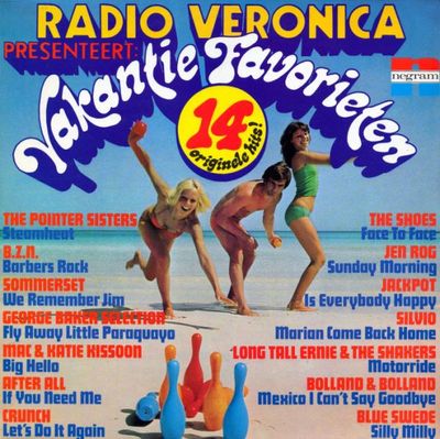Various - Radio Veronica Presenteert: 14 Vakantie Favorieten (LP) Vinyl LP Vinyl (VG) <br> Hoes (G+)