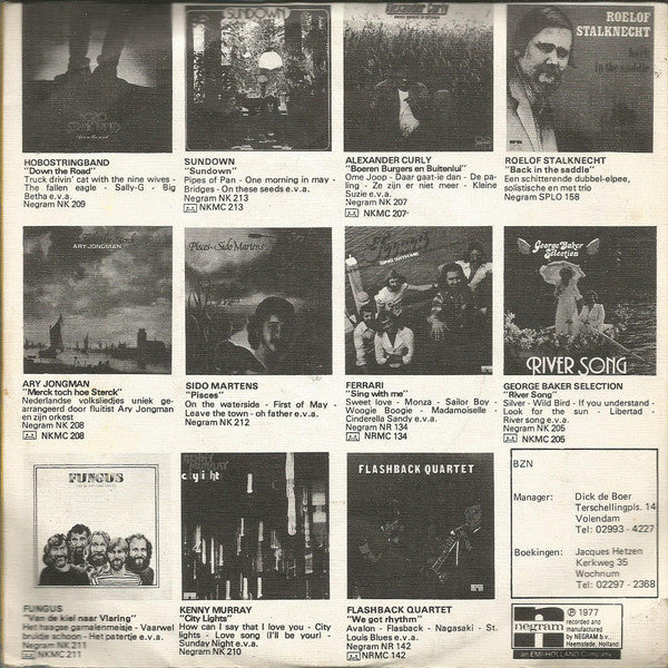 BZN - Don't Say Goodbye 26542 Vinyl Singles Vinyl Zeer Goed / Hoesje Goed "VINYLSINGLES.NL"