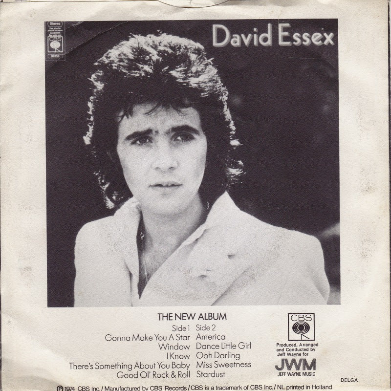 David Essex - Stardust 38818 Vinyl Singles Vinyl Goed / Hoes Goed