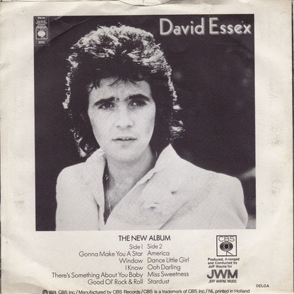 David Essex - Stardust 38818 Vinyl Singles Vinyl Goed / Hoes Goed