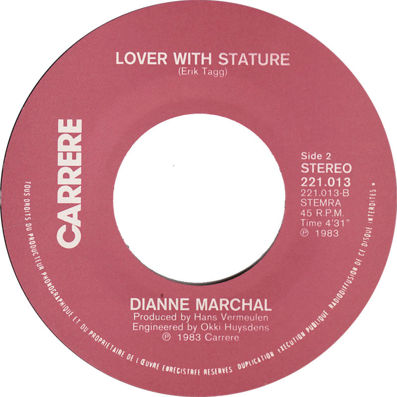 Dianne Marchal - It's My Time Now Vinyl Singles Vinyl Zeer Goed / Hoesje Goed "VINYLSINGLES.NL"