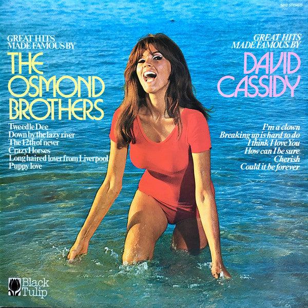 Unknown Artist - Great Hits Made Famous By The Osmond Brothers, David Cassidy (LP) 40413 Vinyl LP JUKEBOXSINGLES.NL   