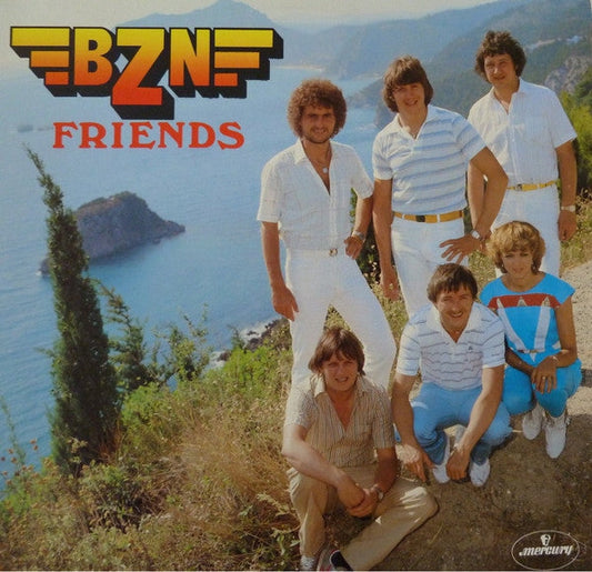 BZN - Friends (LP) 49282