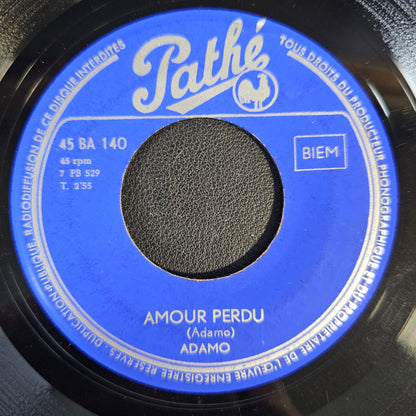 Adamo - J'aime Une Fleur Vinyl Singles Media: VG <br> Sleeve: Generic "VINYLSINGLES.NL"