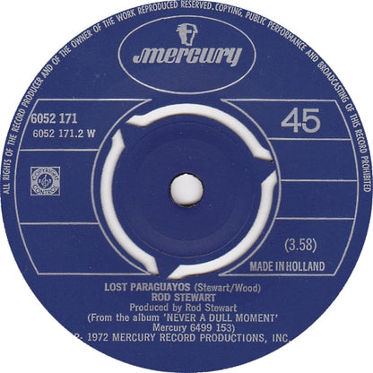 Rod Stewart - Lost In You 25890