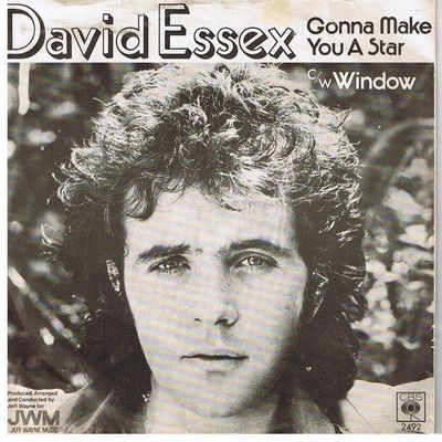 David Essex - Gonna Make You A Star Vinyl Singles Vinyl Zeer Goed / Hoesje Goed "VINYLSINGLES.NL"