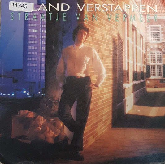 Roland Verstappen - Vermeers kleine Straße 11745