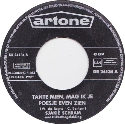 Sjakie Schram - Das kann nur einmal passieren 11385