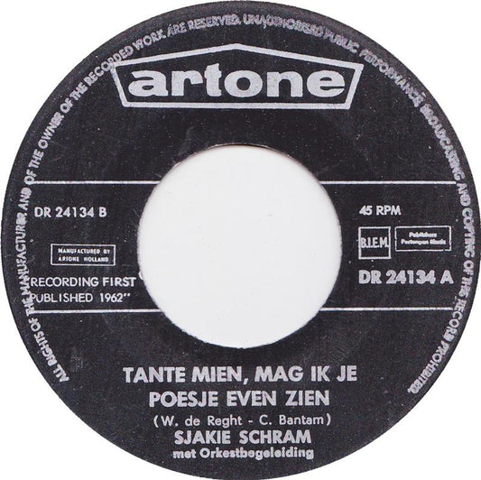 Sjakie Schram - Das kann nur einmal passieren 11385